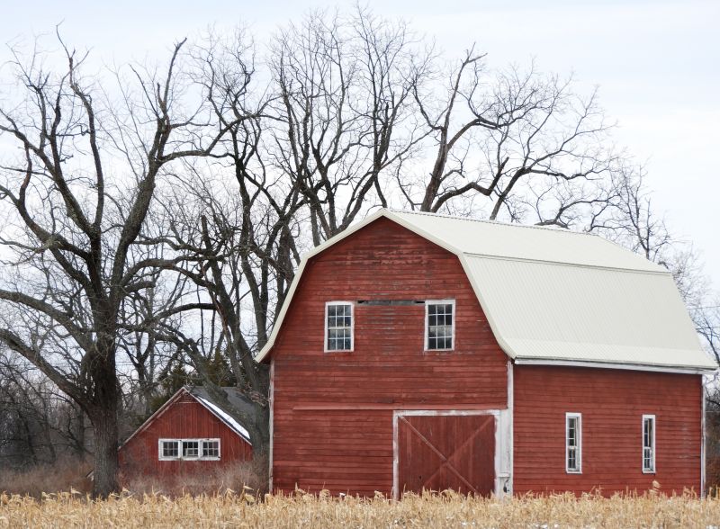 How Professional Shed And Barn Building Improves Property Functionality
