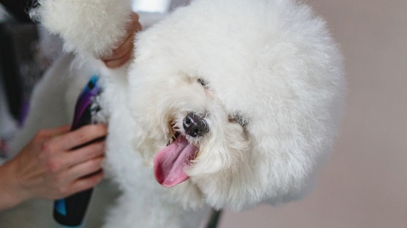 Seasonal shedding patterns